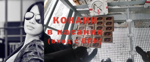 шишки Алзамай
