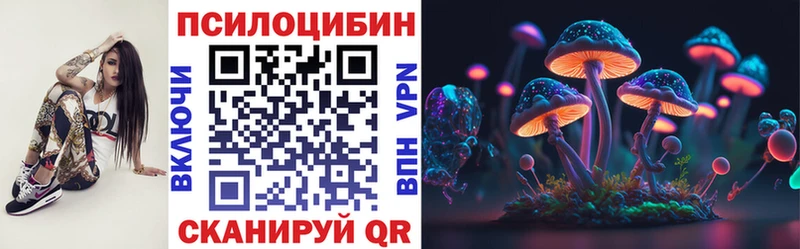 Галлюциногенные грибы Psilocybe  Ленинск-Кузнецкий 